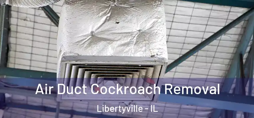 Air Duct Cockroach Removal Libertyville - IL
