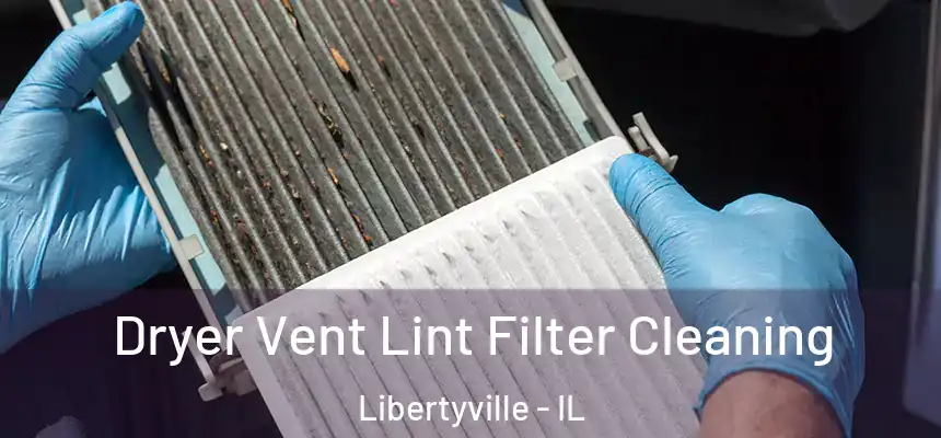  Dryer Vent Lint Filter Cleaning Libertyville - IL