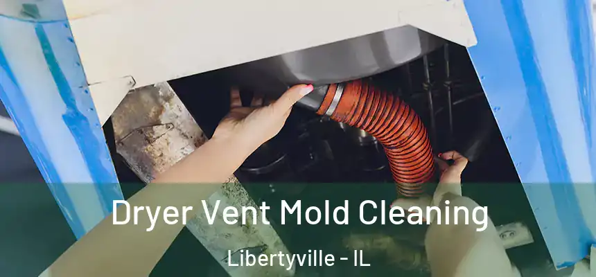  Dryer Vent Mold Cleaning Libertyville - IL