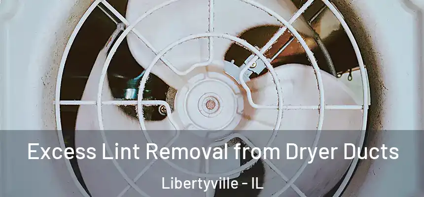 Excess Lint Removal from Dryer Ducts Libertyville - IL