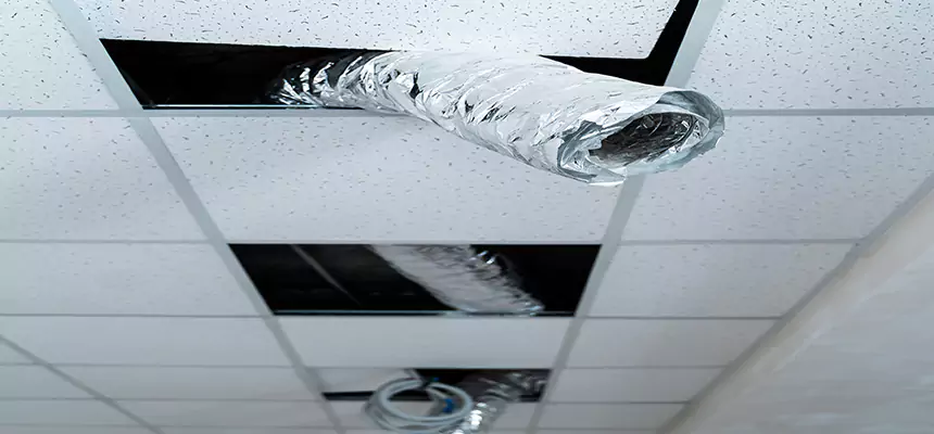 Our Air Duct Pet Hair Removal Services in Libertyville, IL