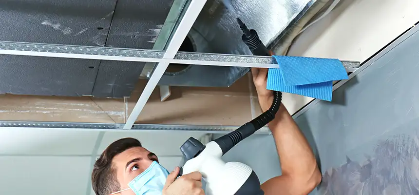 Our Air Duct Rodent Removal Services in Libertyville, IL