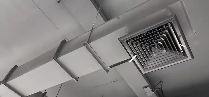 Our Rodent Droppings In Vents Services in Libertyville, IL