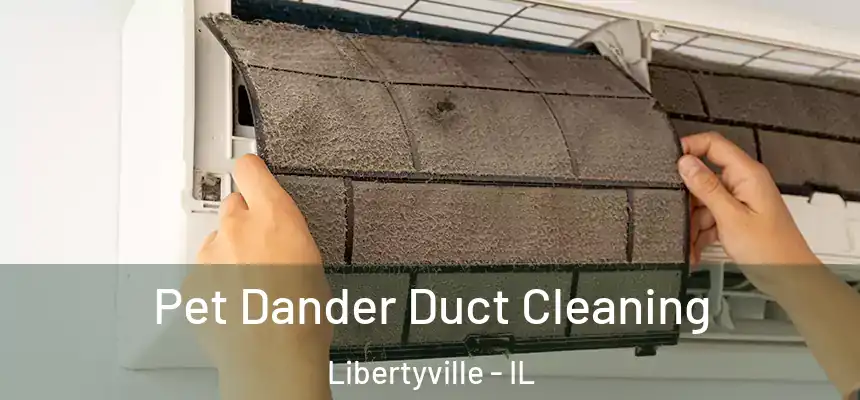  Pet Dander Duct Cleaning Libertyville - IL