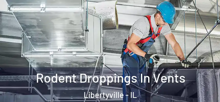  Rodent Droppings In Vents Libertyville - IL