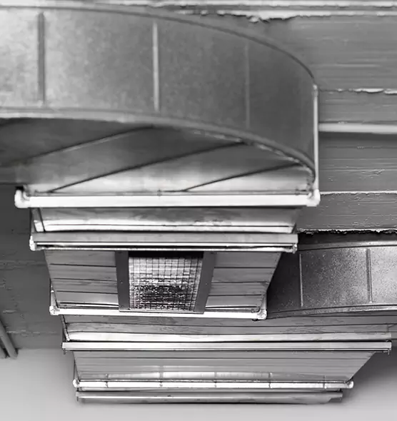 Professional Air Duct Pet Hair Removal in Libertyville, IL