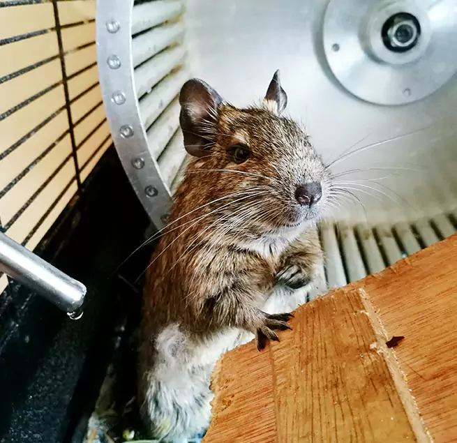 Why Homeowners & Businesses Trust Us Libertyville, IL